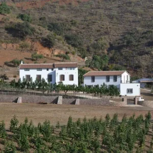 Casa Camilo (13)