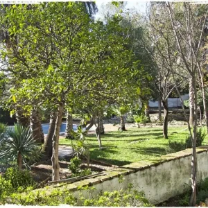 Cortijo Casas Viejas