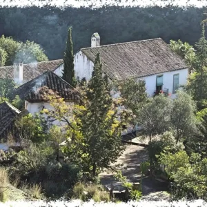 Cortijo Casas Viejas