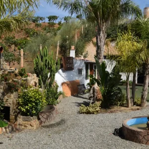 Finca Las Velas (18)