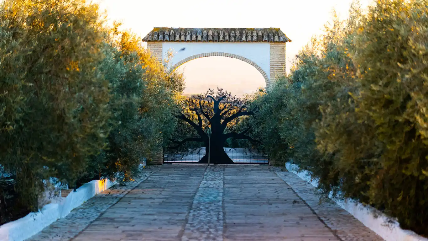 entrada_haciendalacapilla_boda